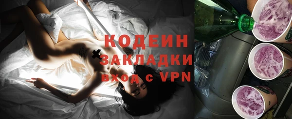индика Баксан