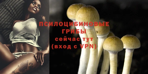 а пвп мука Армянск