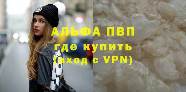 индика Баксан