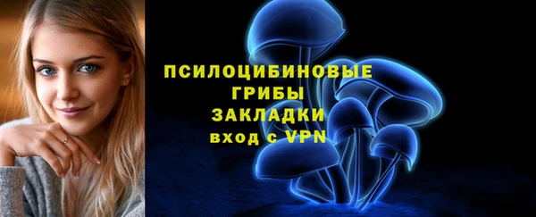 а пвп мука Армянск