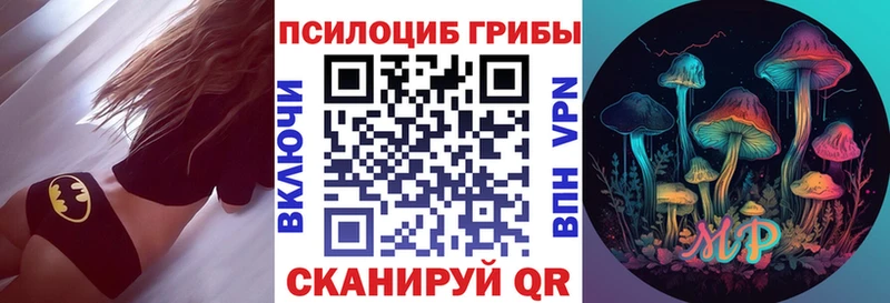 Псилоцибиновые грибы мухоморы  наркошоп  Николаевск 